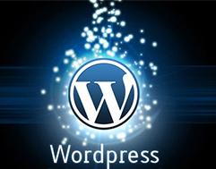 Website development in WordPress - Photo 1